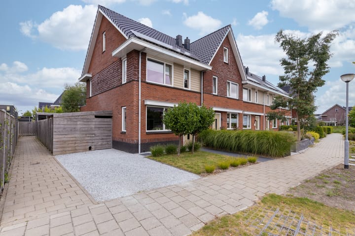 IJsvogel 1 in Hoogkarspel foto