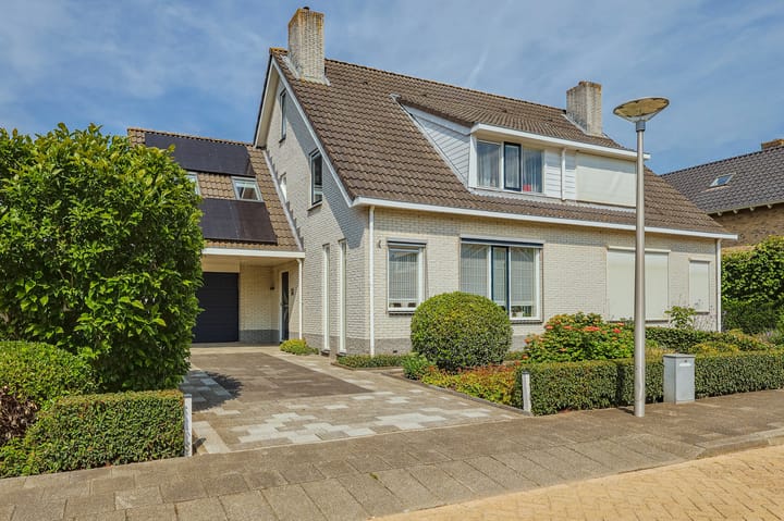 IJsvogel 13 in Sliedrecht foto