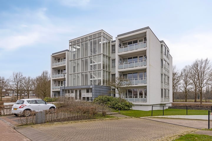IJsvogel 13 in Vught foto
