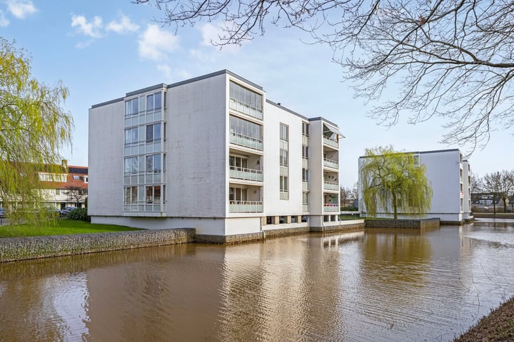 IJsvogel 47 in Vught foto