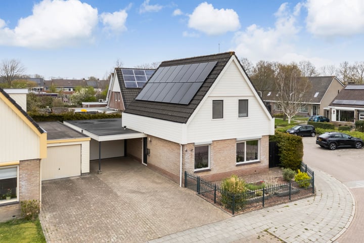 IJsvogel 81 in Dokkum foto