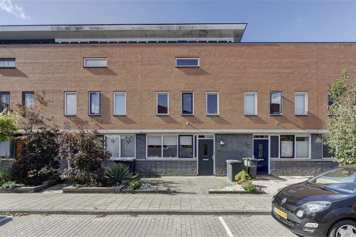 IJsvogel 9 in Bergen op Zoom foto
