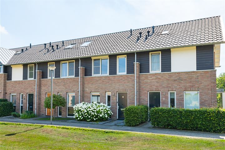 IJsvogel 9 in Lichtenvoorde foto