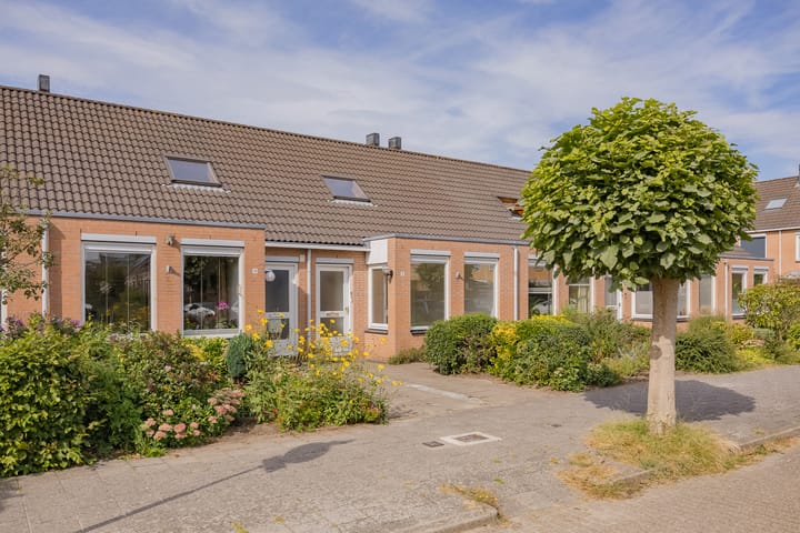 Indiapad 8 in Alphen aan den Rijn foto
