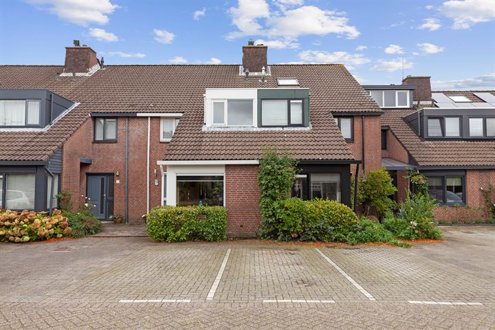 Inkarnaatklaver 13 in Rotterdam foto