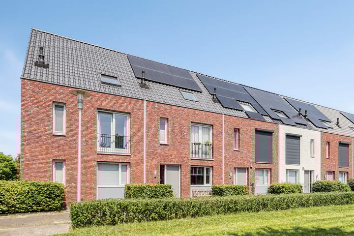 Inktzwam 7 in Apeldoorn foto