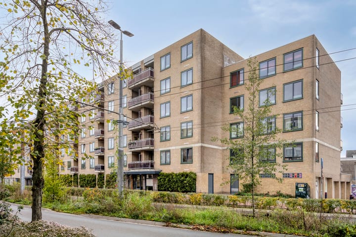Ir J.P. van Muijlwijkstraat 272 in Arnhem foto