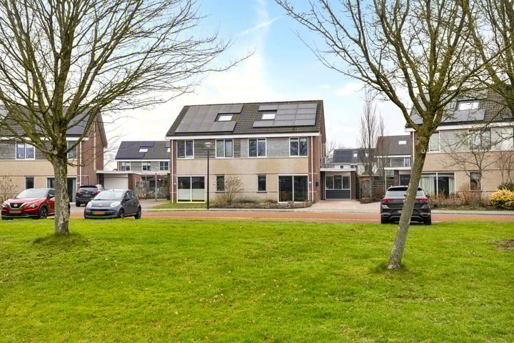 Iris 8 in Oosterwolde foto