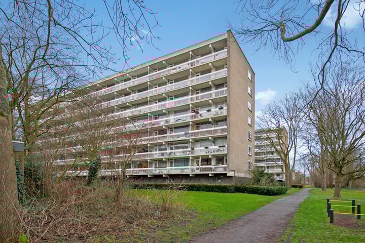 Isabellaland 1036 in 's-Gravenhage foto
