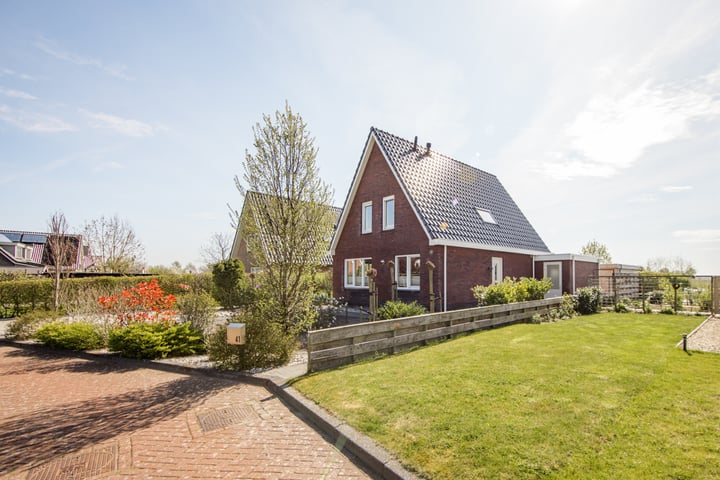 It Ferset 41 in Makkum