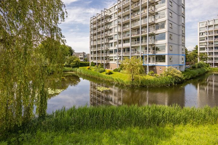 Jacob van Campenlaan 114 in Leiden foto