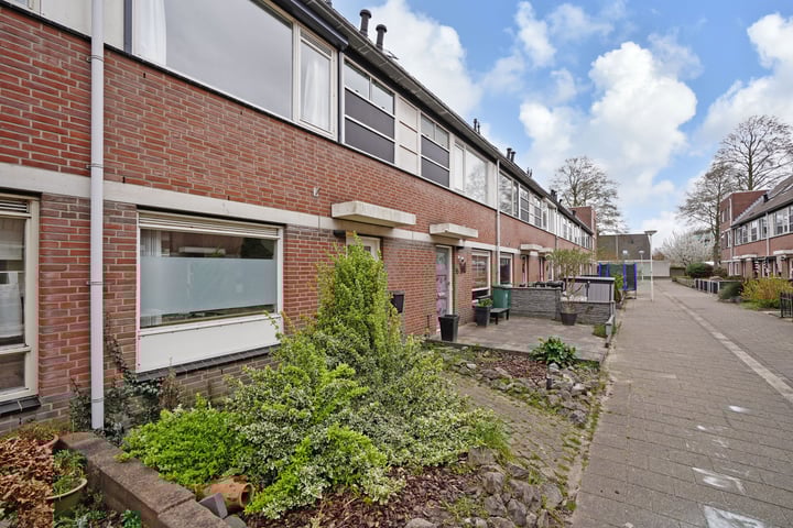 Jade 17 in Zoetermeer foto