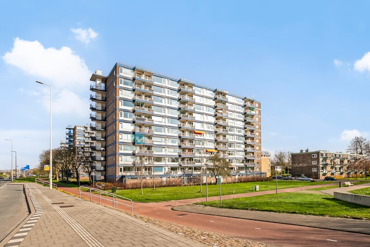Jan Dammassestraat 61 in Rotterdam foto