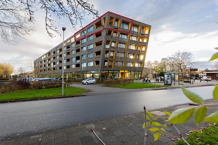 Jan Ensinglaan 133 in Groningen foto