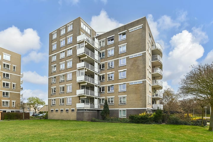 Jan Le Griepstraat 94 in 's-Gravenhage foto
