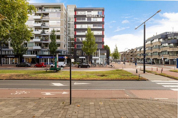Foto van woning Johan de Wittstraat 266, Dordrecht