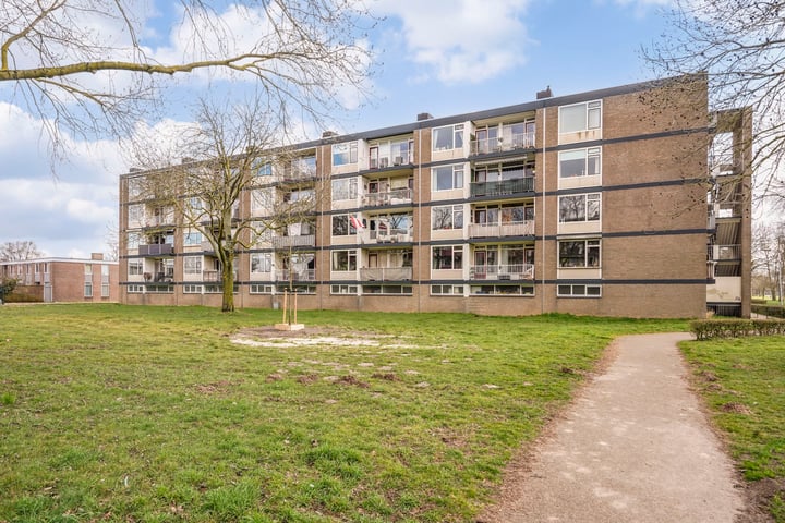 Johan van de Veldestraat 91 in 's-Hertogenbosch foto
