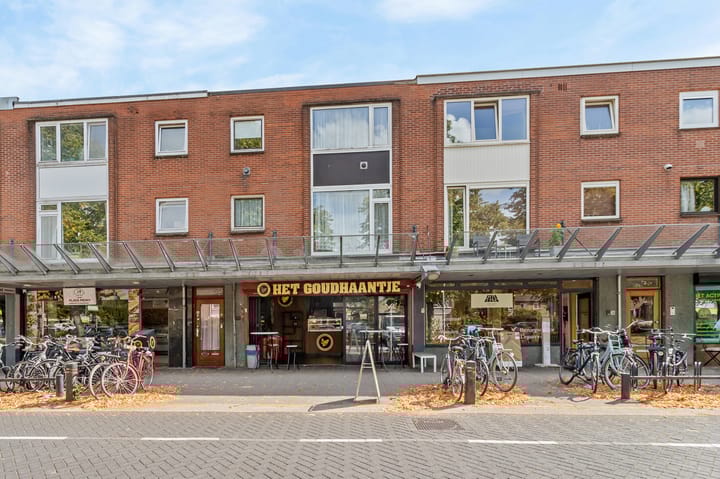 Johan van Oldenbarneveltlaan 78 in Zeist foto