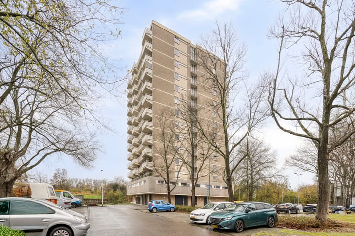 Johan Willem Frisostraat 133 in Zoetermeer