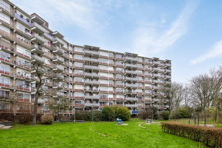 Jonkerbos 110 in Zoetermeer foto