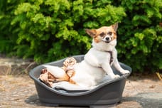 Foto van Juna Bos