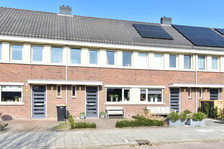 Juttepeer 33 in Winkel foto