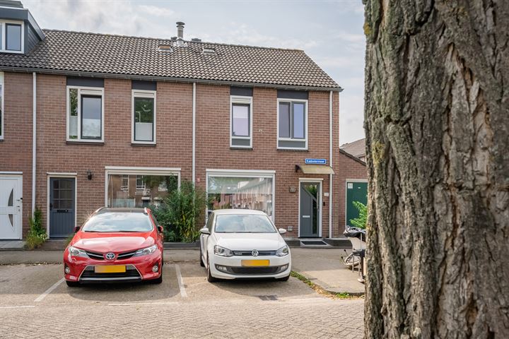 Kadoelermeer 37 in Rotterdam foto