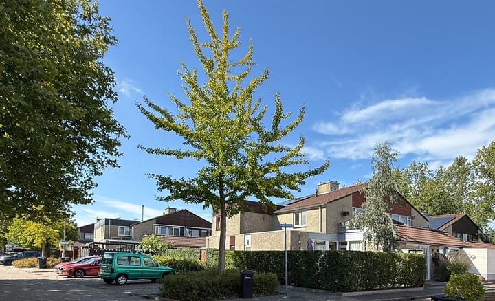Kalander 44 in Wormer foto