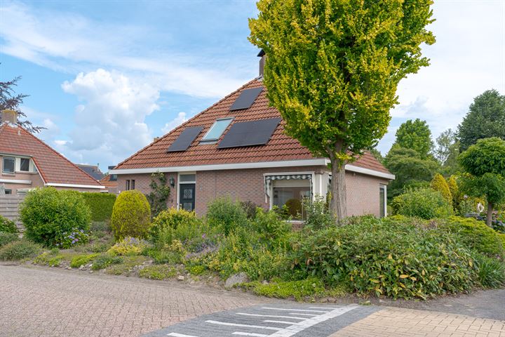 Kalmoes 1 in Beilen foto
