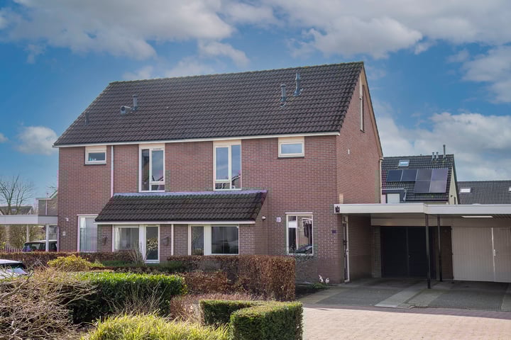 Kalmoes 42 in Nijverdal foto