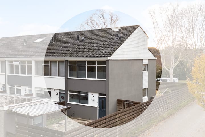 Kamgras 149 in Leeuwarden