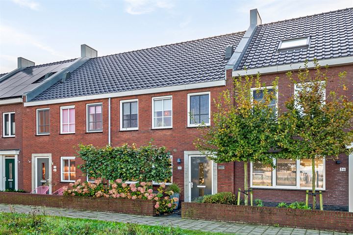 Kamgras 35 in Meppel foto