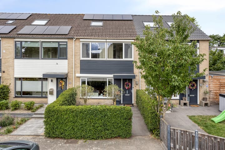 Kamgras 39 in Veenendaal foto