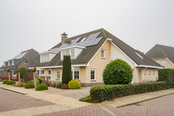 Kamille 1 in Nijkerk foto