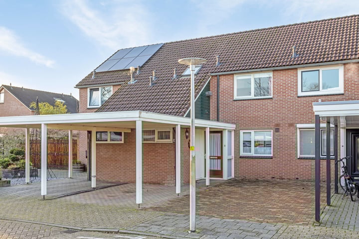 Kamille 10 in Delden foto