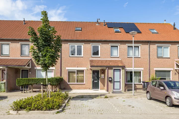 Kamille 22 in Zwaag foto