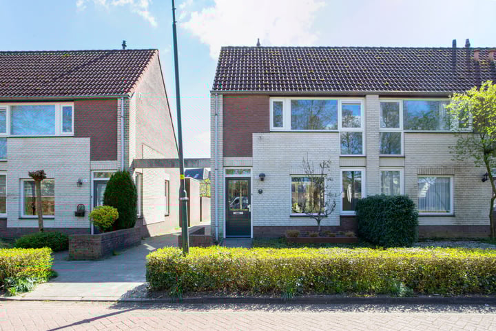 Kamille 28 in Bladel foto