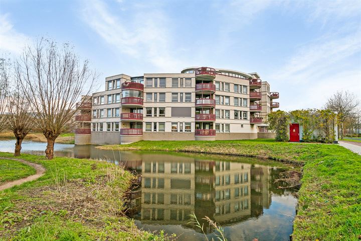 Kamilleveld 42 in Schiedam foto