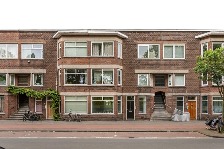 Kamperfoeliestraat 143 in 's-Gravenhage foto