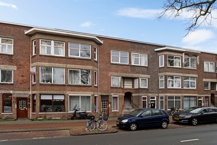 Kamperfoeliestraat 163 in 's-Gravenhage foto