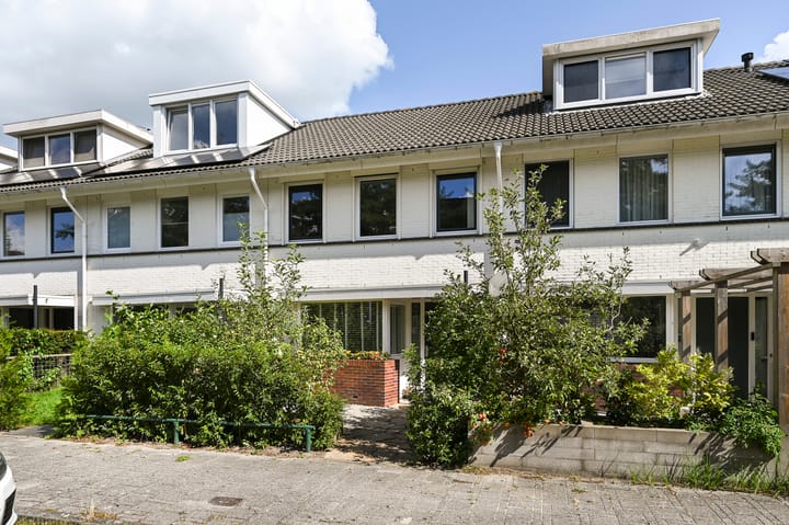 Kampioensingel 31 in 's-Gravenhage foto