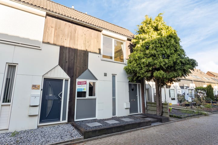 Kanariesprenk 255 in Vlissingen foto