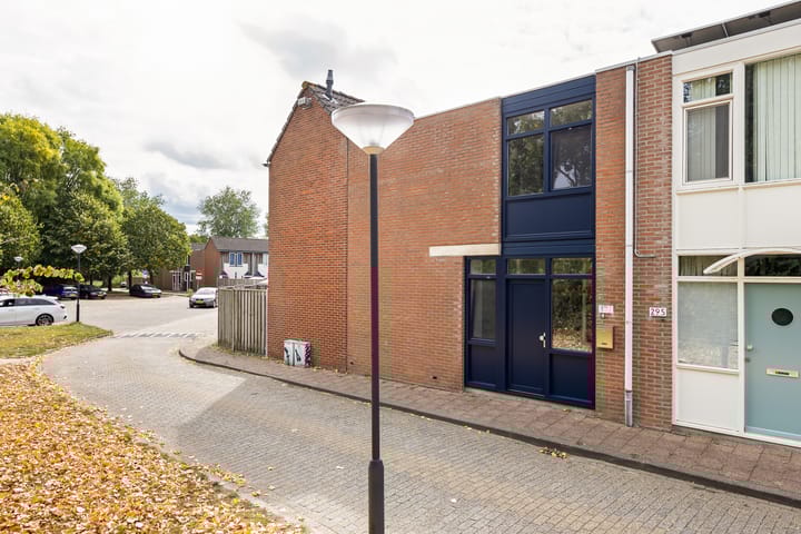 Kanariesprenk 377 in Vlissingen foto