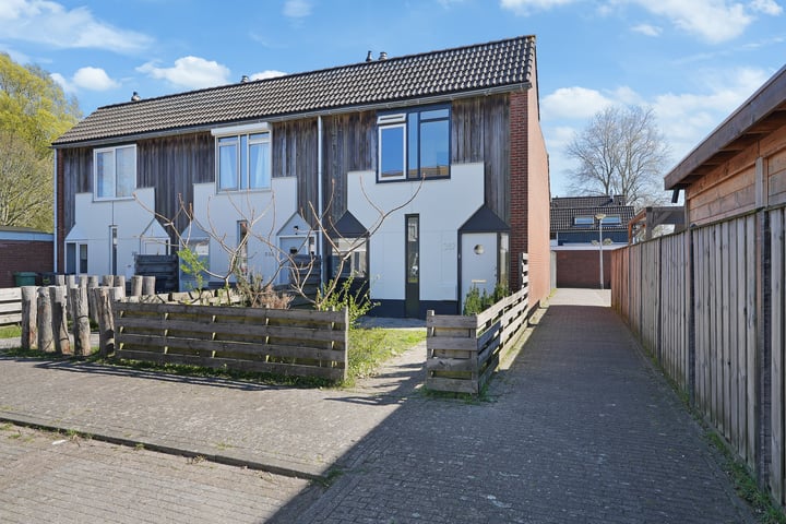 Kanariesprenk 387 in Vlissingen foto
