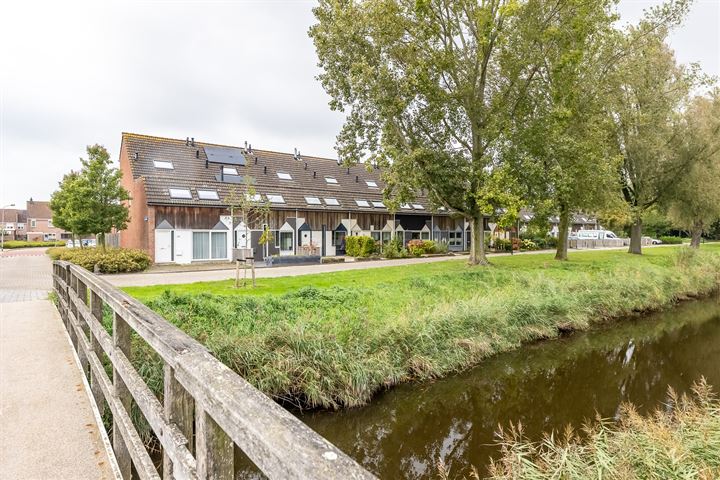 Kanariesprenk 425 in Vlissingen foto