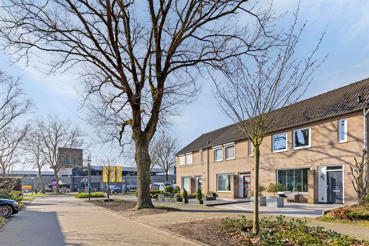 Kapmeeuwhof 20 in Nuenen foto
