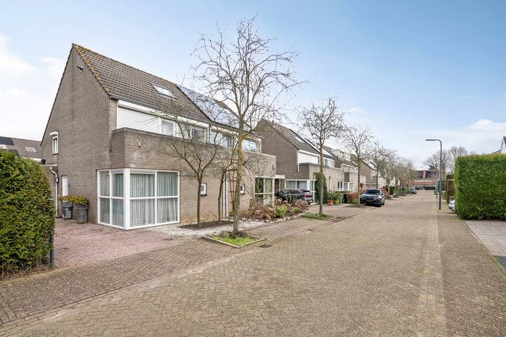 Karekiet 21 in 's-Hertogenbosch foto