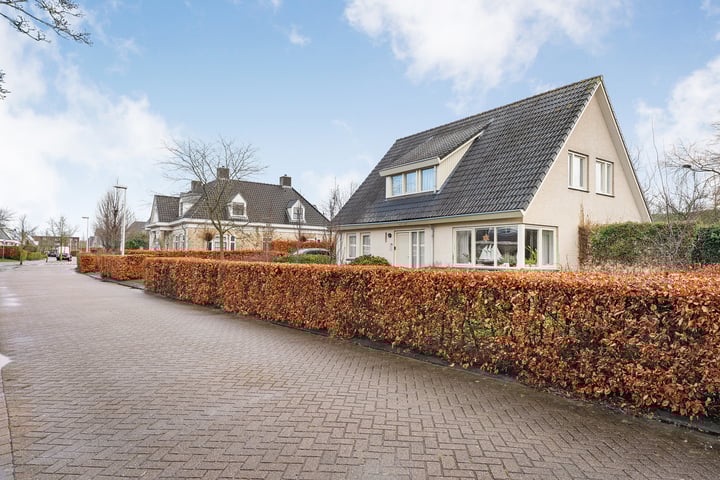 Karper 17 in Hoogeveen foto