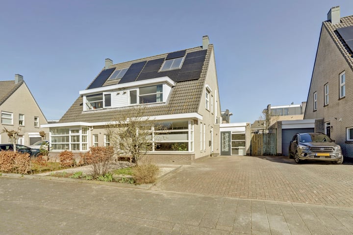 Karper 4 in Hoogeveen foto