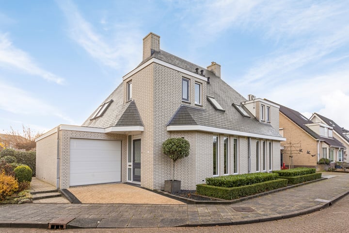 Kastanjehof 1 in Meerkerk foto